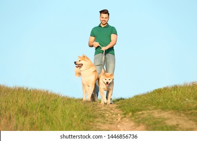 Young man walking his adorable Akita Inu dogs outdoors