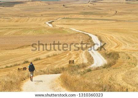 Young man is walking on the Cammino de Santiago de Compostela.