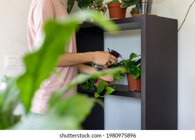 Young Man Watering Plants With Spray Inside His Home. Concept Of Indoor Garden And Relaxing Activities Within The Home.