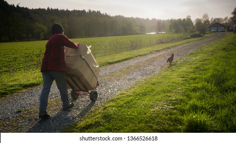 A Young Man Wearing Flannel Pushing A Heavy Cardboard Appliance Box Down A Gravel Driveway, And A Cat Running Away.