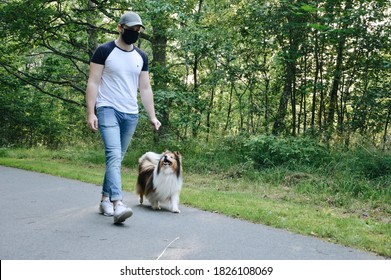 A Young Man Wearing A Mask Walking A Shetlandsheepdog Dog