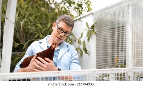 Young Man In White Coat Hold Chicken In Hand And Talk At Hen House. Farmers Inspect And Record The Quality Data Of The Chicken, Veterinarian Is Checking Poultry Health In Farm, Farmer Production.