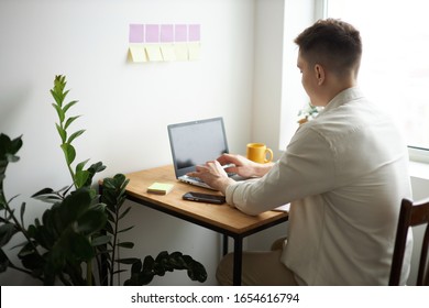 Young Man In White Shirt Using Laptop At Home, Profession, Occupation, Guy Doing Shopping Online Stickers Are Hanging On The Wall. Back View Photo. Job