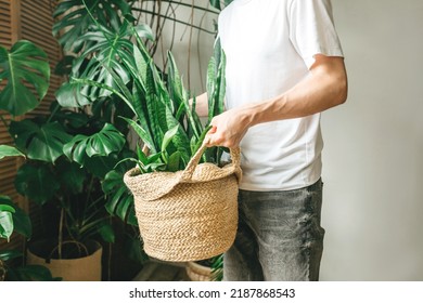 A young man in a white T-shirt is holding a jute pot with a green plant in his hands. The concept of gardening and landscaping in urban conditions. The concept of eco-friendly housing and minimalism - Shutterstock ID 2187868543