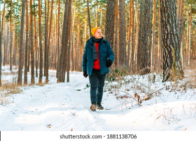 Young Man In Winter Yellow Hat Walks In Winter Snowy Pine Forest