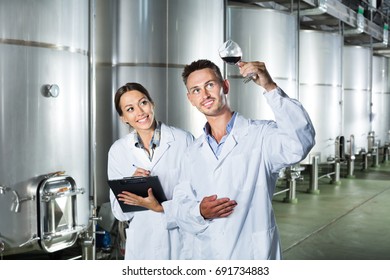 Young man and woman employees looking at wine sample in glass and taking notes at a winery manufactory. Focus on man  - Shutterstock ID 691734883
