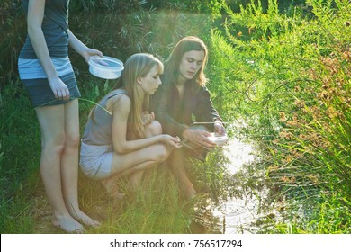 Young Man And Women Catching Tadpoles