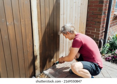 Young Man Worker Paints With A Brush A Wooden Board Fence Gate. DIY, Do It Yourself Concept. House Improvement. Home Renovation And Refurbishment. Selective Focus, Copy Space.