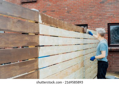 Young Man Worker Paints With A Roller A Wooden Board Fence In The Garden. DIY, Do It Yourself Concept. House Improvement. Home Renovation And Refurbishment. Selective Focus, Copy Space