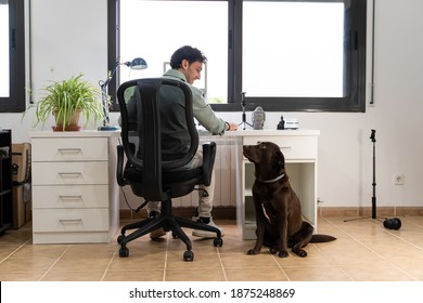 a young man is working from home with his computer in the office and his dog distracts him - Powered by Shutterstock