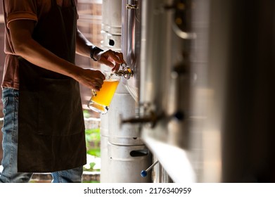 A young man works in a brewery and checks the quality of craft beer. The brewery owner tastes the best beers from Bach. A man's shortcut fills a glass of beer with - Shutterstock ID 2176340959