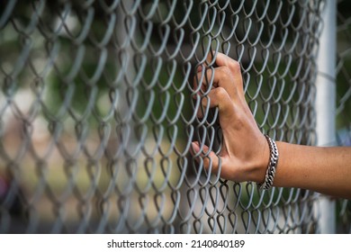 The young man's hand clinging to the lattice fence outside the building due to imprisonment. The idea of imprisoning prisoners of war to prevent escaping and to negotiate with the enemy.