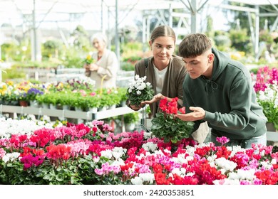 Young married couple customer choosing potted cyclamen in container garden shop - Powered by Shutterstock