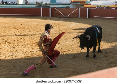 Young Matador Taunting Black Bull