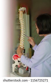 Young  Medical Student  Using Pencil To Demonstrate Anatomy Of Artificial Human Cervical Spine Model In Hospital Health Care Spine Chiropractic Orthopedics Concept