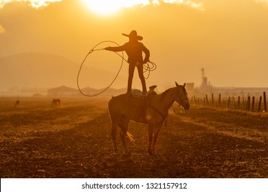 Mexican Cowboys compete in our National Sport La Charreria Stock Photo  Picture And Rights Managed Image Pic Z8F2250393  agefotostock