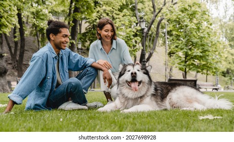 Young mixed-race couple boyfriend and girlfriend students friends walking with malamute dog pet in city park outdoors together on romantic date. Man and woman taking care of a fluffy dog - Powered by Shutterstock