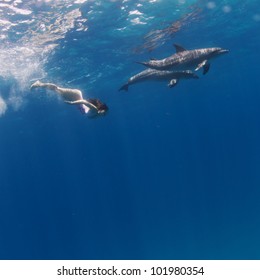 Young Model Swimming With Wild Dolphins In Open Water