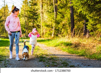 Young Mother With Child And Dog Walking Together On Country Path In Forest. Cheerful 2 Years Old Outdoor With Her Pet.