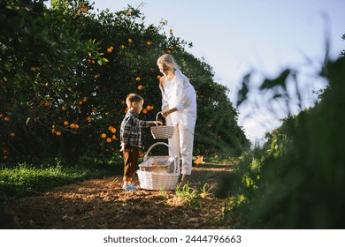 Young Mother and Son Harvesting Oranges Together. - Powered by Shutterstock