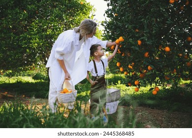 Young Mother and Son Harvesting Oranges Together. - Powered by Shutterstock