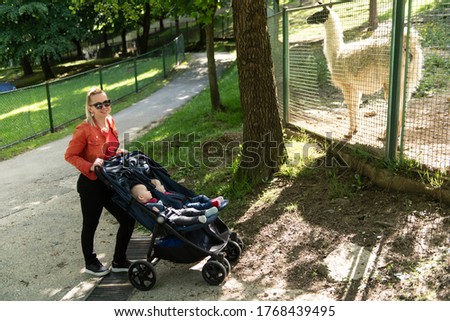 Young Mother Walking With Her Babies and Carries It in a Beautiful Pram