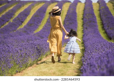 A young  mother wearing a yellow jumpsuit dress and a straw hat and her daughter wearing a blue dress hold hands as they walk up a hill in a lavender field in a sunny day of Summer in Scotland - Shutterstock ID 2281464593