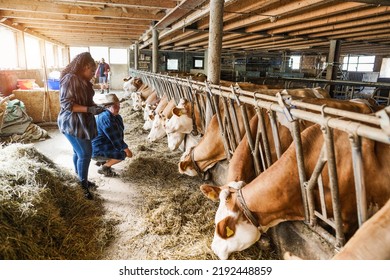 Young multiracial farmer people working together inside cowshed while using digital tablet - Soft focus on african woman face - Shutterstock ID 2192448859