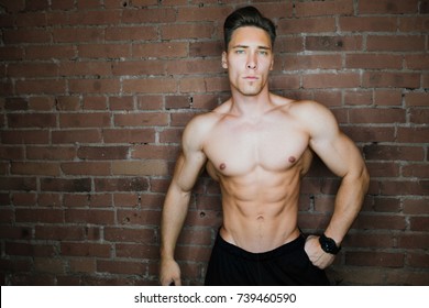 Young Muscular Bodybuilder Fitness Model Posing Against A Brick Wall Loft Fitness Club. Beauty Ring Flash, Fashion Potrait. Six Pack Abs.