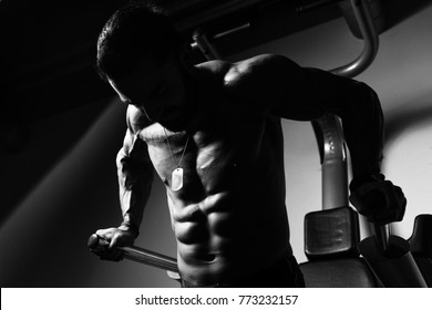 筋肉美 の画像 写真素材 ベクター画像 Shutterstock
