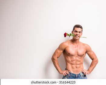 Young Muscular Man With Perfect Torso Is Holding Single Rose In His Tooth While Standing Against White Background.