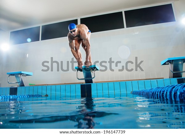 Young Muscular Swimmer Low Position On Stock Photo 196147739 | Shutterstock