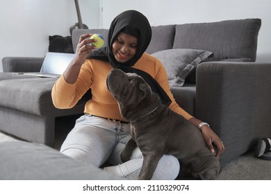 Young muslim woman playing with her grey sharpei dog at home. - Powered by Shutterstock