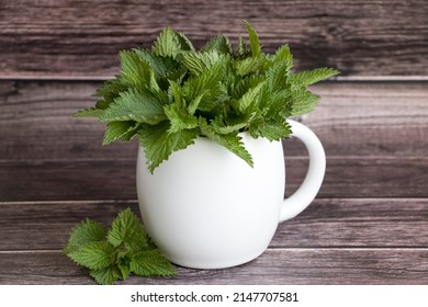 Young nettle leaves in a white cup. Fresh organic nettle leaves. Stinging nettle leaves. Common nettle. Phytotherapy. Selective focus.