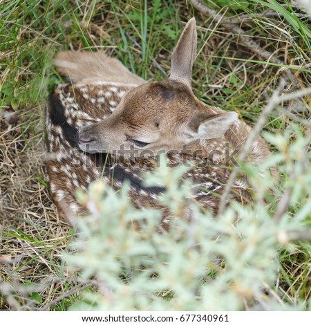 young new born baby