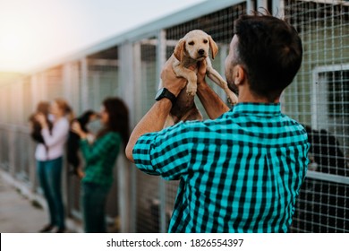 Young nice looking couple wants to adopt beautiful dog at animal shelter. - Shutterstock ID 1826554397