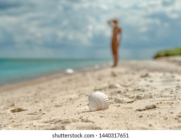 Young Nudist Beach