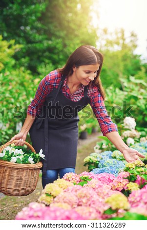 Similar – Image, Stock Photo flower with bend in stem
