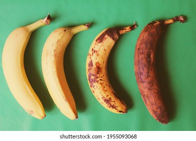 Young And Old Bananas With A Green Background. 