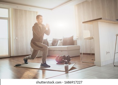 Young ordinary man go in for sport at home. Bright picture of serious concentrated sport freshman doing one leg squats with persistance. Regular man work on his body shape to get better - Shutterstock ID 1686917227