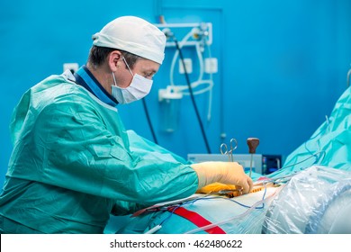 Young Orthopedic Surgeon Portrait Emergency Room Stock Photo 462480622 ...