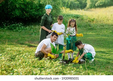 Young parents - dad and mom freak with children plant a tree in the meadow
