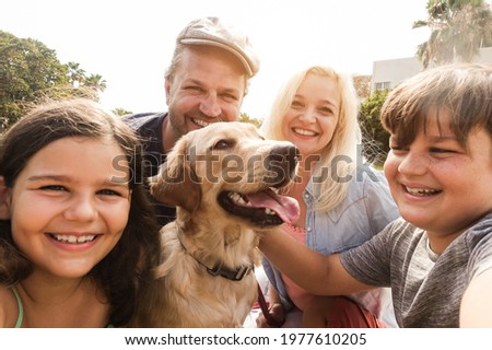 Similar – Image, Stock Photo Golden Retriever dog in yellow field at sunset. portrait