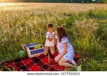The young parents and their son having a picnic on the wheat field on a sunny day. The son is playing the guitar for his parents.Pregnant family photo shoot in nature