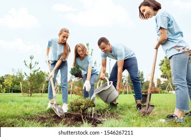 Young people girls and boy volunteers outdoors helping nature planting trees together pouring water from bucket on ground smiling cheerful - Powered by Shutterstock