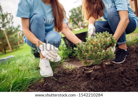 Young people girls volunteers outdoors helping nature planting tree together ground close-up
