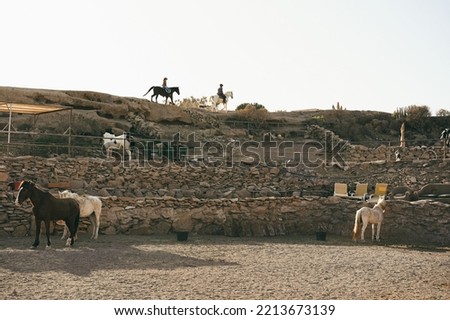 Young people riding horses doing excursion at farm ranch in sunset time.