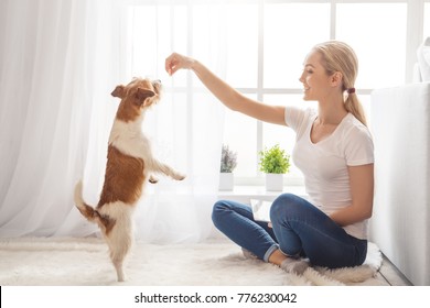 Young person with dog at home leisure