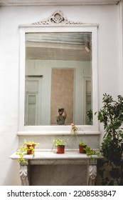 Young Photographer Guy With Tattoos And Old Camera Taking A Selfie In A Old Big Mirror With Neoclassical Frame And Decorations And Plants