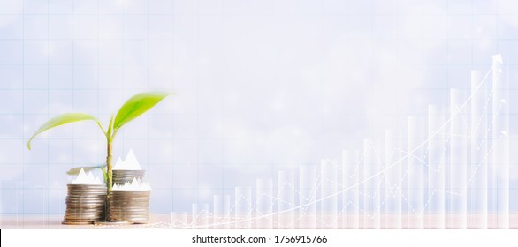 Young plant grow on coins stack and financial stock market graph, Pension fund, 401K, Passive income, Investment and retirement concept. savings and making money, Business investment growth concept. 